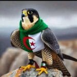 صورة